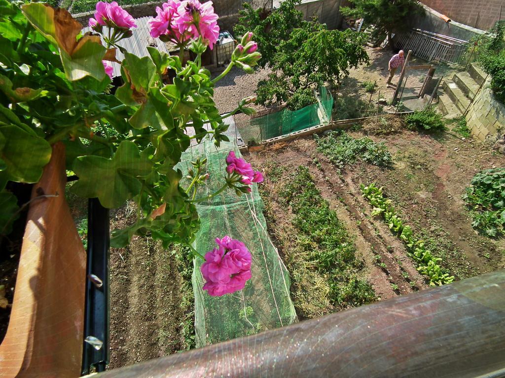 Casa Catharina Bed & Breakfast La Seu d'Urgell Dış mekan fotoğraf